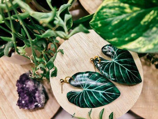 Philodendron Gloriosum Leaf Earrings