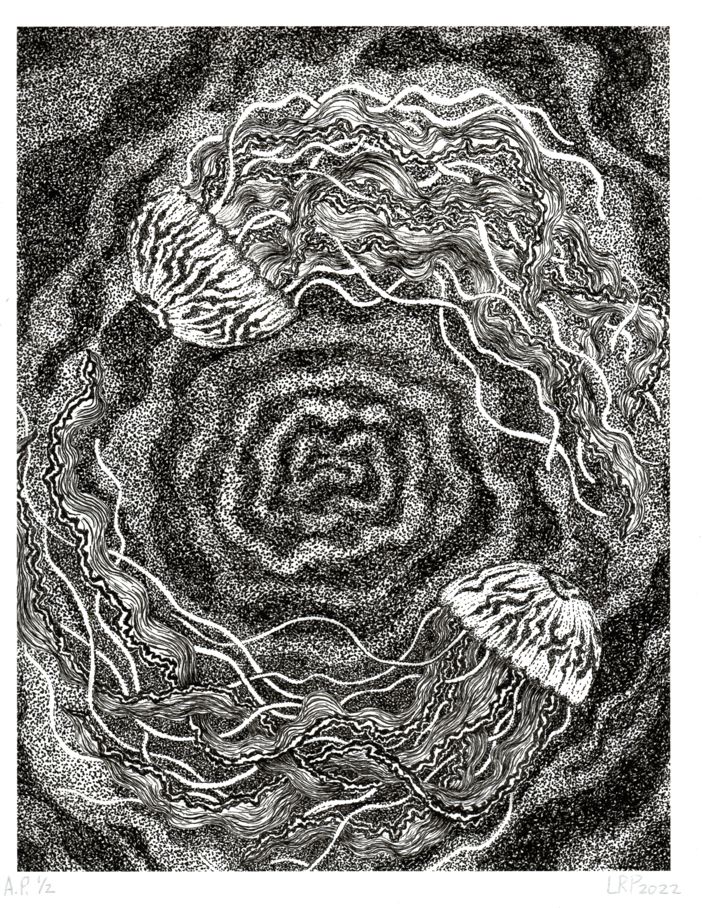 Lydia Polarine: Untitled (Jellyfish)