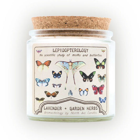 North Ave Candles Lepidopterology Candle