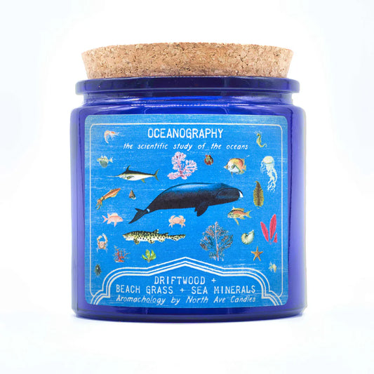 North Ave Candles Oceanography Candle