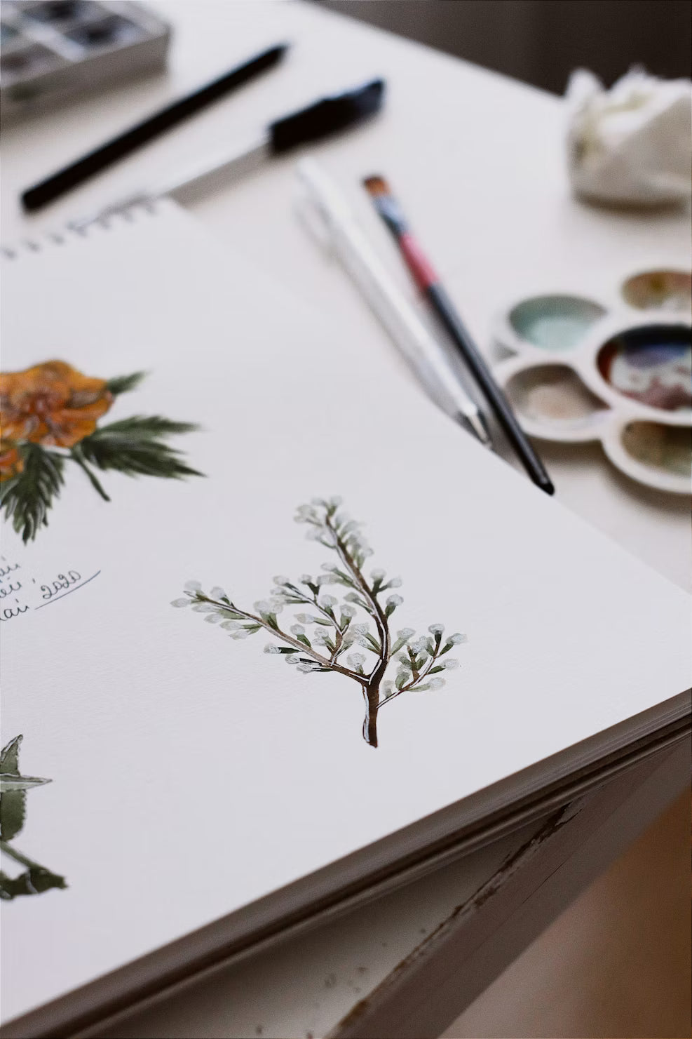 Watercolor Botanicals workshop (Creative Reset — Beginner to Intermediate)