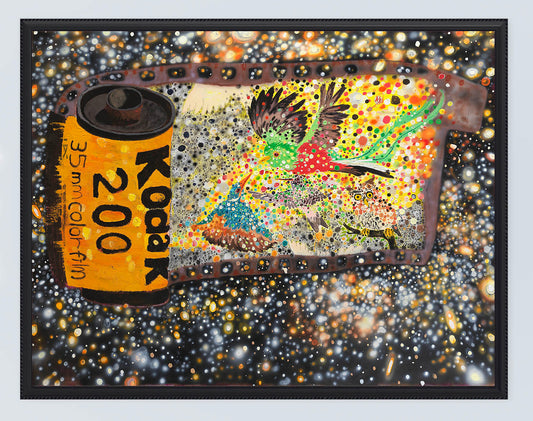 Enzhao Liu: Rephotography- Kodak