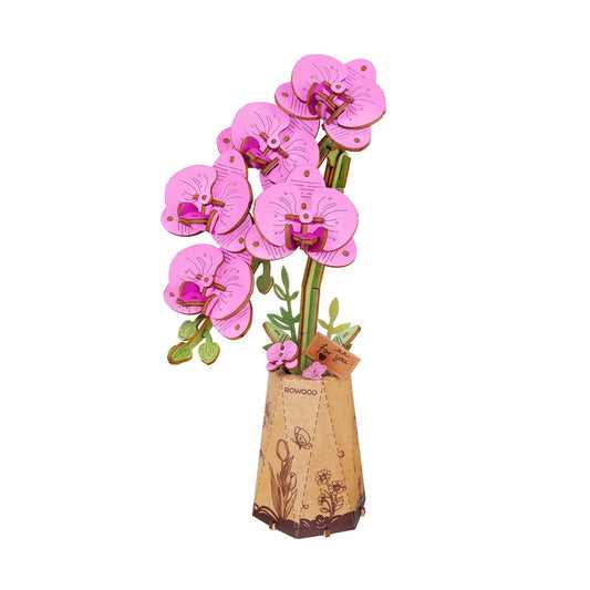 DIY Kit- Purple Moth Orchid