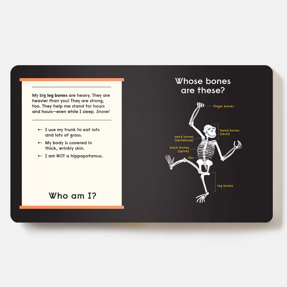 Whose Bones?: An Animal Guessing Game