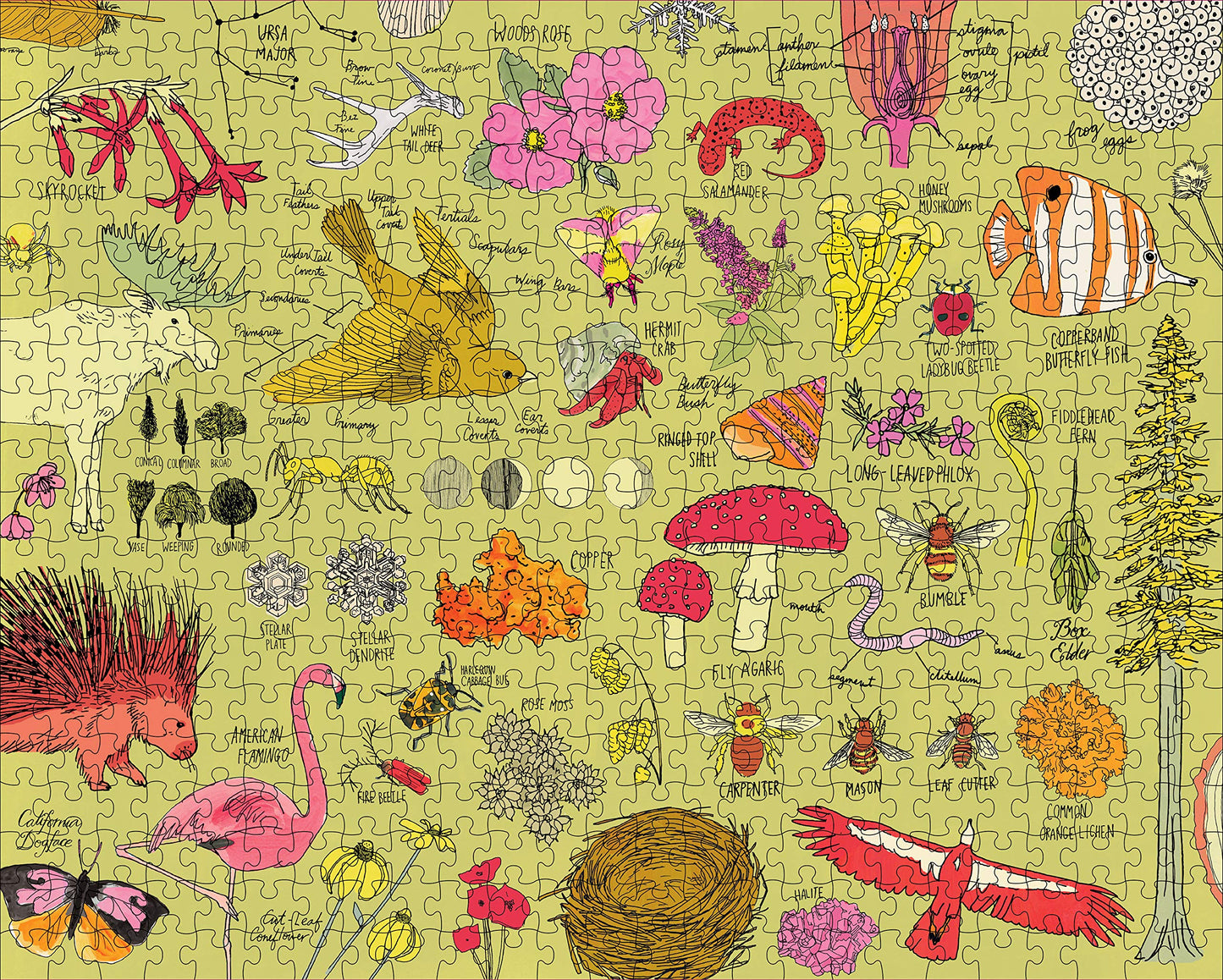 Nature Anatomy: The Puzzle (500 pieces)