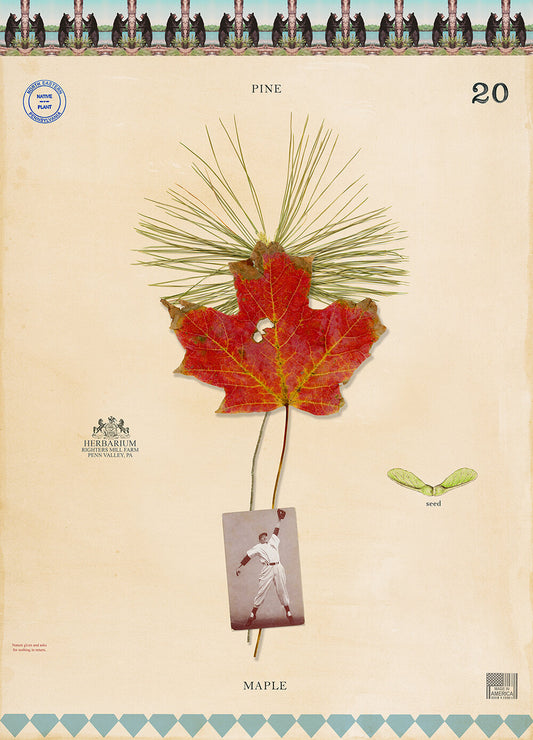 Baseball Bat Tree Giclee Print by MF Cardmone