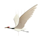 Crane Flying Bird Mobile