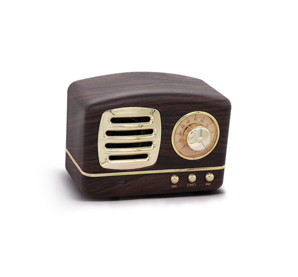 Portable Bluetooth Speaker