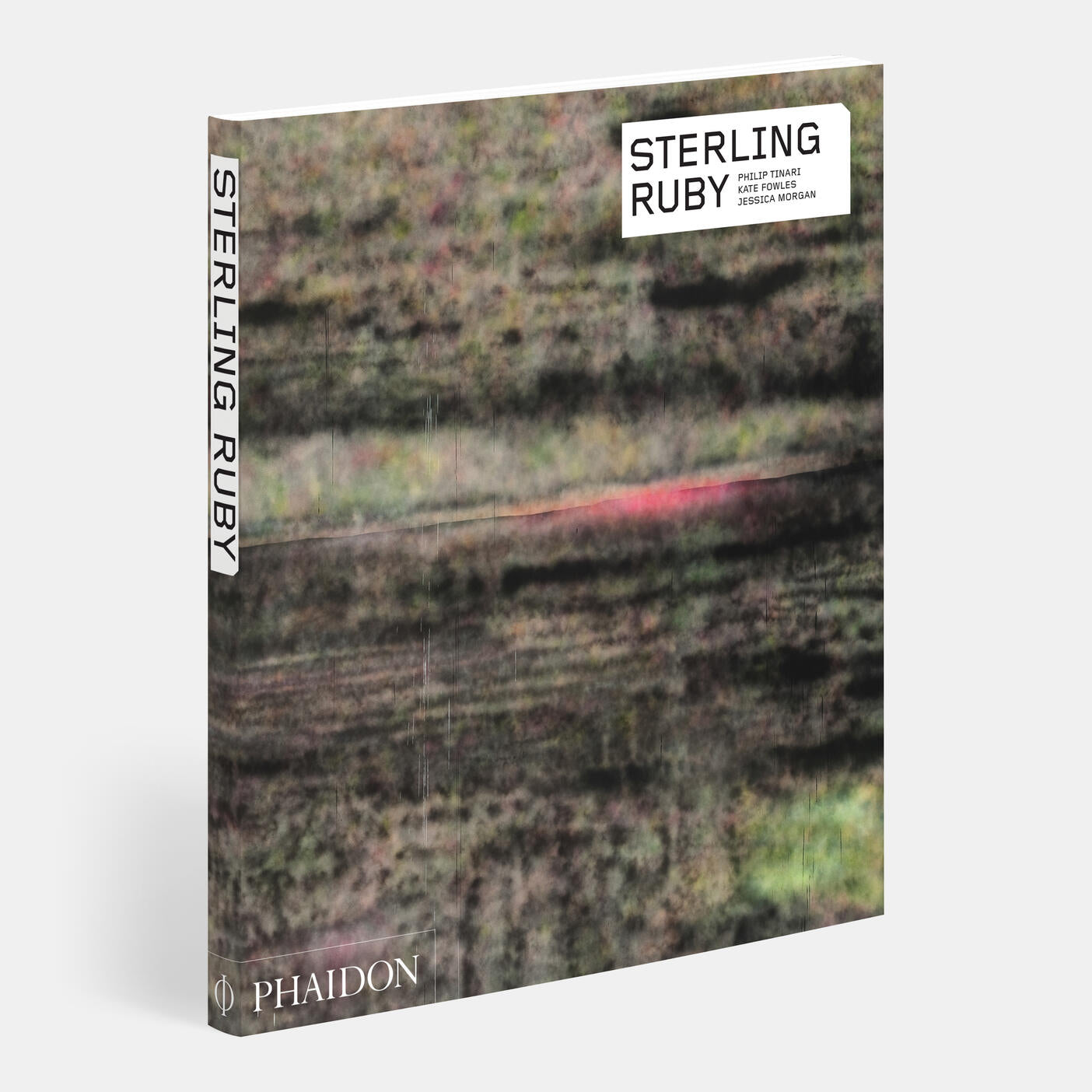 Sterling Ruby: Interview by Kate Fowle, Survey by Franklin Sirmans, Focus by Jessica Morgan, Artist's Writings by Sterling Ruby