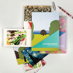 MOMA LANDSCAPES & FIGURES JOURNAL WITH POSTCARD SET